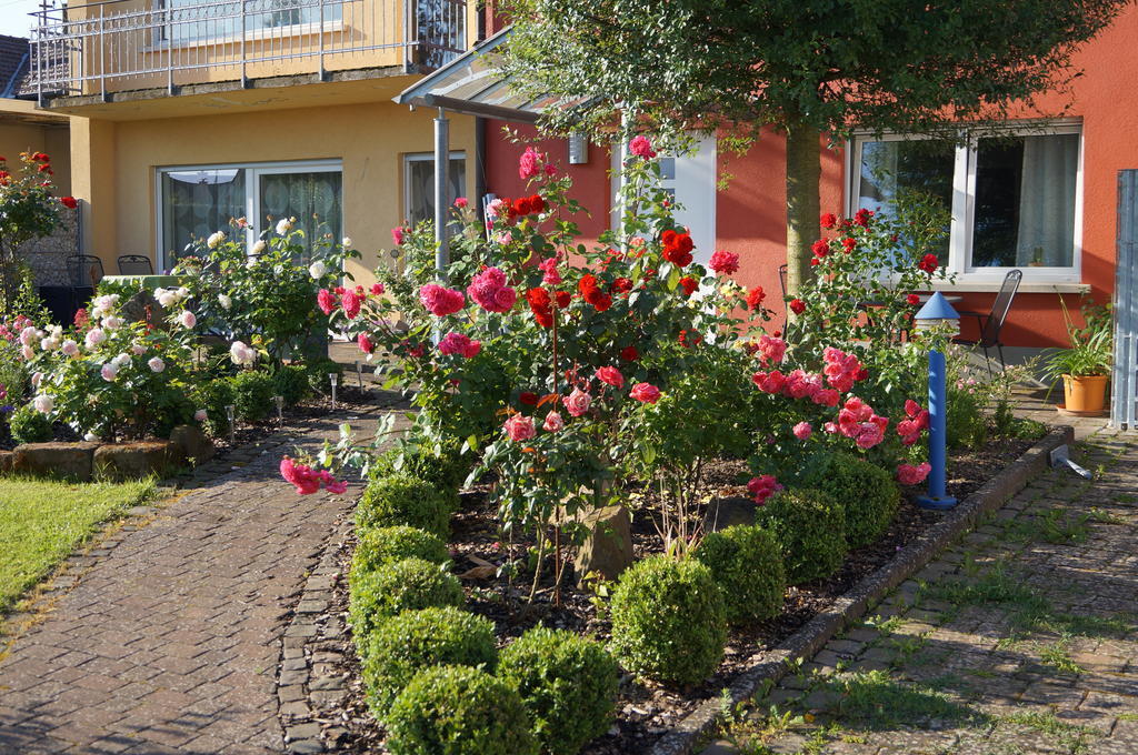 Ferienhaus Schloss-Garten Kapellen-Drusweiler Exterior photo